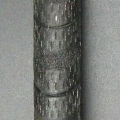 Wilson Staff Tab400 10° Driver Stiff Graphite Shaft Wilson Grip + Head Cover 15 Wilson Staff Tab400 10° Driver Stiff Graphite Shaft Wilson Grip + Head Cover -Nordicagolf Shop 32 efa7c69a 2ed1 43b8 9f67 75d162b08cec